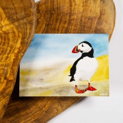 Papageientaucher 1 - Postkarte