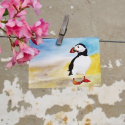 Papageientaucher 1 - Postkarte