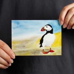 Papageientaucher 1 - Postkarte