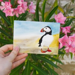 Papageientaucher 1 - Postkarte