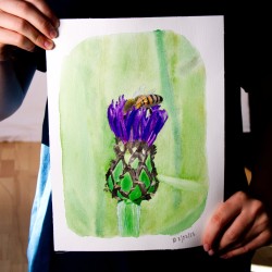 Biene in Kornblume