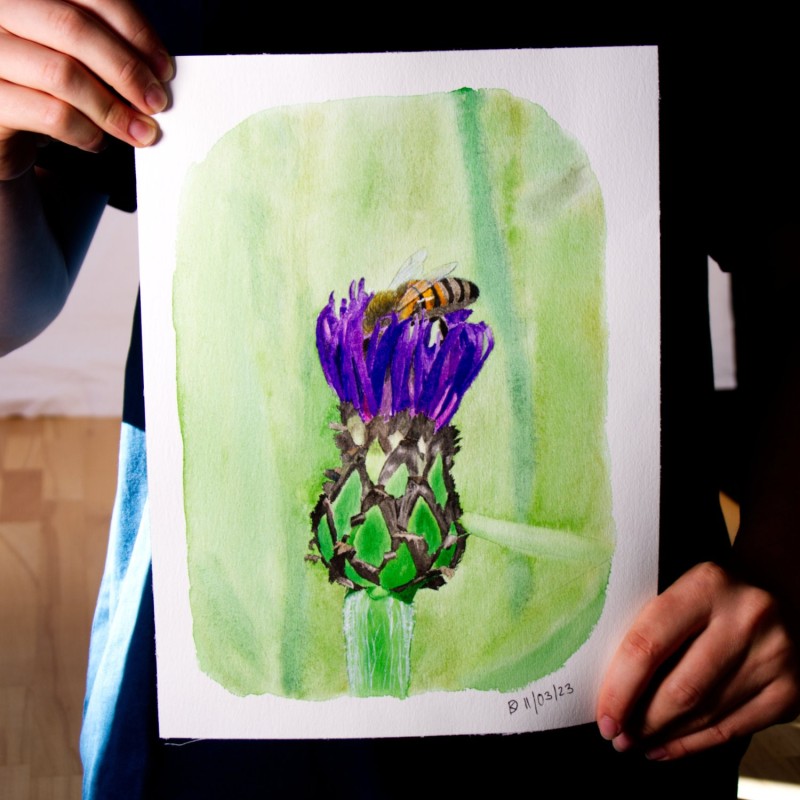 Biene in Kornblume