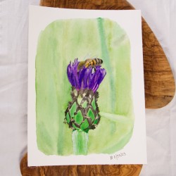 Biene in Kornblume