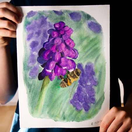 Biene auf Traubenhyazinthe