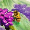 Biene auf Traubenhyazinthe