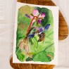 Abeille sur la Bourrache
