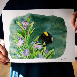 Hummel auf Rosmarin