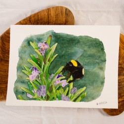 Bumblebee on Rosemary