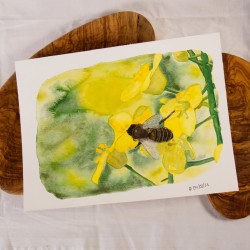 Biene auf Raps