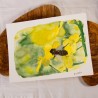 Abeille sur le Colza