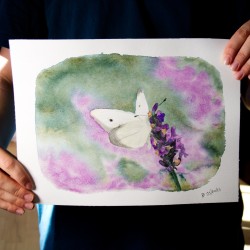 Schmetterling auf Lavendel
