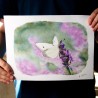 Butterfly on Lavender