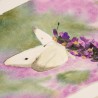 Schmetterling auf Lavendel