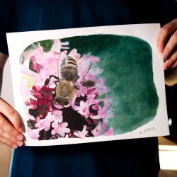 Biene auf Oregano