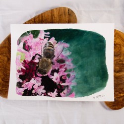 Biene auf Oregano