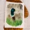 Attentive Duck
