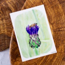 Abeille dans le Bleuet - Cart Postale