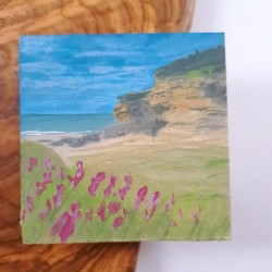 Schottische Meeresbucht 12