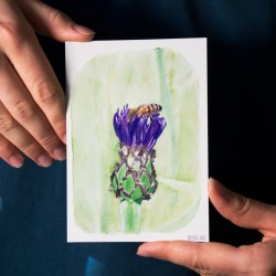 Biene in Kornblume - Postkarte