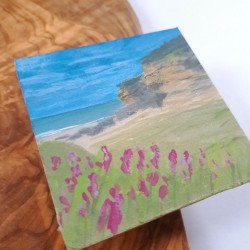 Schottische Meeresbucht 12