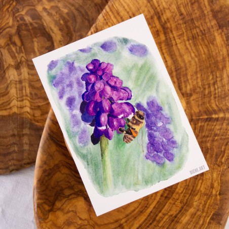 Biene auf Traubenhyazinthe - Postkarte