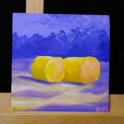 Hay Bales 4