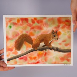 Eichhörnchen