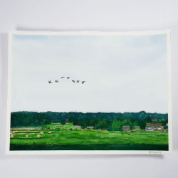 fliegende Gänseschar