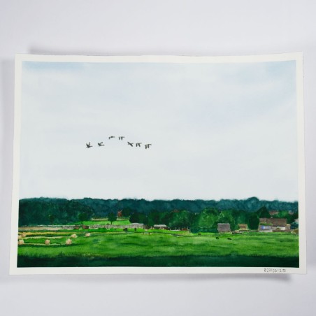fliegende Gänseschar