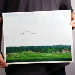 fliegende Gänseschar