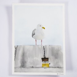 Möwe 1