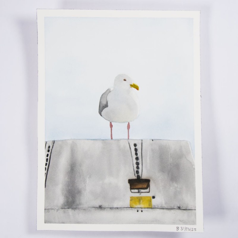 Möwe 1