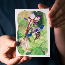 Abeille dans la Bourrache - Cart Postale
