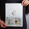 Möwe 1