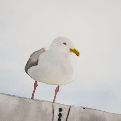 Möwe 1