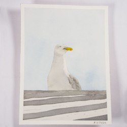 Möwe 2