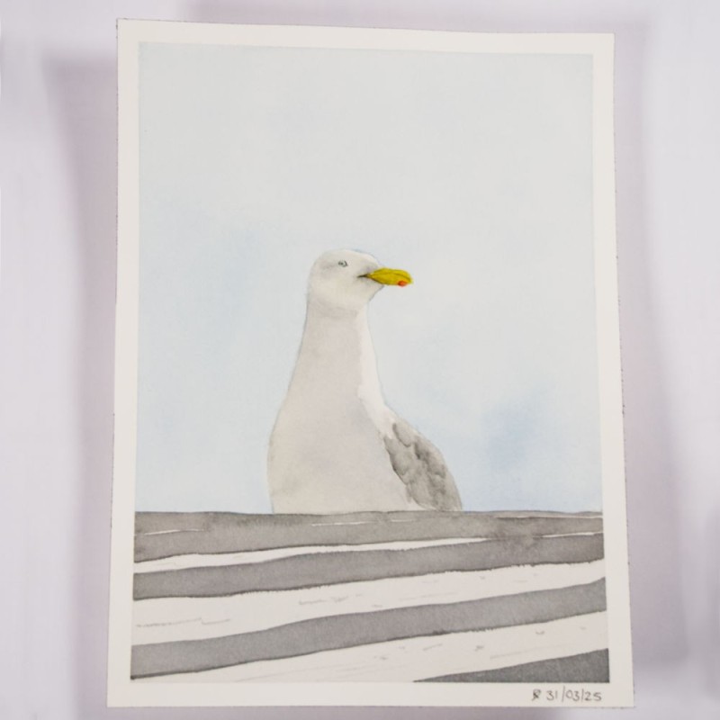 Möwe 2