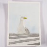 Seagull 2