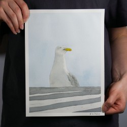 Möwe 2