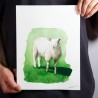 Mouton 1