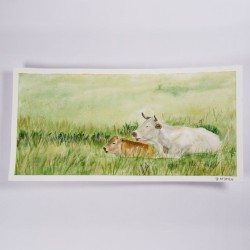 liegende Kuh mit Kalb