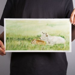 liegende Kuh mit Kalb