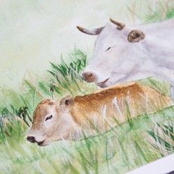 liegende Kuh mit Kalb