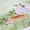 liegende Kuh mit Kalb