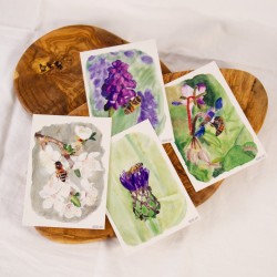 Insect Set 1 - Postcards