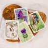 Insect Set 1 - Postcards