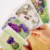 Insect Set 1 - Postcards