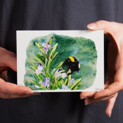 Hummel auf Rosmarin - Postkarte