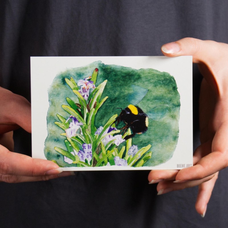 Hummel auf Rosmarin - Postkarte