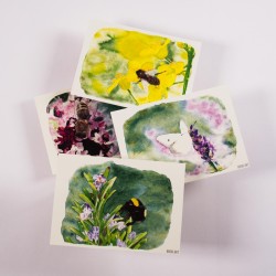 Insect Set 2 - Postcards